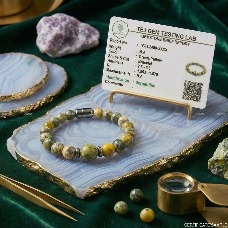 Serpentine Calm Guard